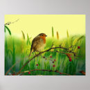 Suche nach rotkehlchen poster Tierwelt