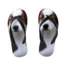 Recherche de border collie vêtements Animal
