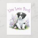 Recherche de de border collie cartes postales Chiot