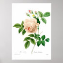 Suche nach indica poster Vintag