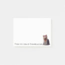 Suche nach yorkshire terrier post it Welpe
