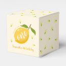 Suche nach zitronen papier geschenk box 1 geburtstag