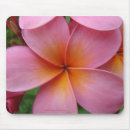 Recherche de fleur hawaïenne tapis souris Frangipani