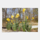 Suche nach narzisse geschirr tücher Daffodil