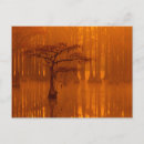 Recherche de cypress tree cartes postales Georgia