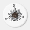 Suche nach chemie magnete Naturwissenschaften