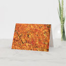 Suche nach herbst baum karten Orange