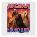 Suche nach afghanische poster Tier