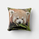 Suche nach roter panda kissen Wild