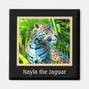 Recherche de jaguar magnets Léopard
