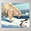 Suche nach polar bear poster Snow