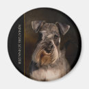Suche nach schnauzer magnete Hunde