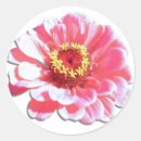 Recherche de projet autocollants Rose
