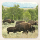 Recherche de bison dessous de verres Jaune