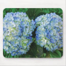 Suche nach hydrangea mousepads Blume