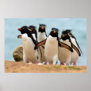 Recherche de penguin posters Mignon