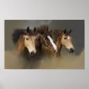 Suche nach drei pferde poster Tiere