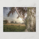 Recherche de fourrures cartes postales Paysage