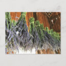 Suche nach lavendel postkarten Natur