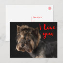 Recherche de chiots mignons cartes postales Amour