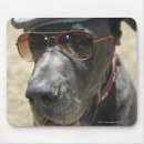 Suche nach deutsche dogge mousepads Tierkörperteil