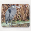 Recherche de chasse à oiseau tapis souris Pêche