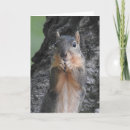 Recherche de nuts photographie Nature