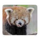 Recherche de kawaii planches à découper Décoration