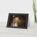 Suche nach reinrassig karten Hund