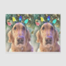 Recherche de dogs christmas papier cadeau Chiens de noël
