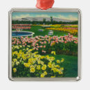 Recherche de santa clara cartes postales Comté