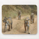 Suche nach königlich mousepads Streifen
