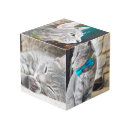 Suche nach foto würfel Bild