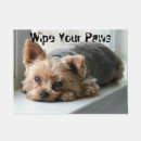 Suche nach wischen sie Hunde