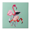 Recherche de flamingo carreaux Oiseaux