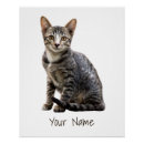 Suche nach pets poster Haustier