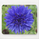 Recherche de bleuet tapis souris Fleurs