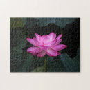 Recherche de fleur lotus de puzzles Pétale