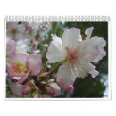 Recherche de israël calendriers Chrétien