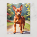 Recherche de pinscher miniature cartes postales Dog