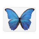 Recherche de papillon bleu magnets Réfrigérateur