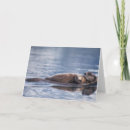 Suche nach seeotter karten Tier