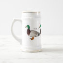 Recherche de canard chopes Oiseau