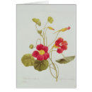 Suche nach kapuzinerkäse postkarten Botanisch