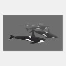 Recherche de orca autocollants Noir et blanc