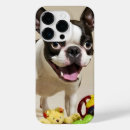 Suche nach boston iphone hüllen Mit