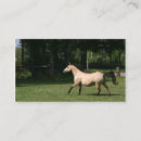 Recherche de peau de daim Amant de cheval