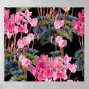 Suche nach cyclamen poster Gezeichnet