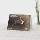 Suche nach reindeer karten Natur