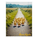 Recherche de caneton posters Animaux mignons